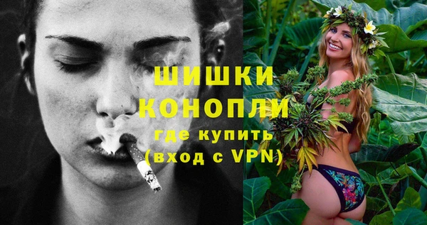 шишки Балахна