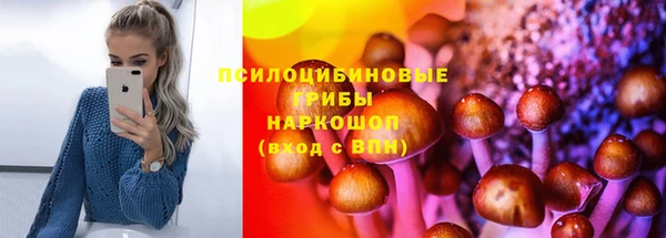 шишки Балахна