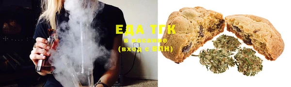 шишки Балахна