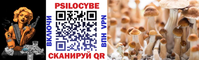 Псилоцибиновые грибы Psilocybine cubensis  Владивосток 